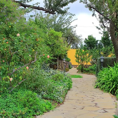 With 2 Bedrooms In Las Rosas With Wonderful Sea View Private Pool Enclosed Garden 10 Km From The Beach Las Rosas (Arona, Tenerife)
