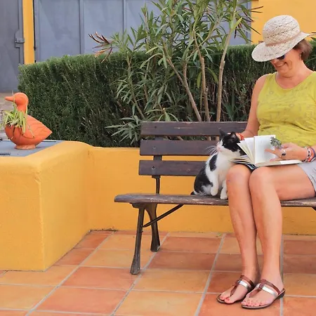 With 2 Bedrooms In Las Rosas With Wonderful Sea View Private Pool Enclosed Garden 10 Km From The Beach * Las Rosas (Arona, Tenerife)